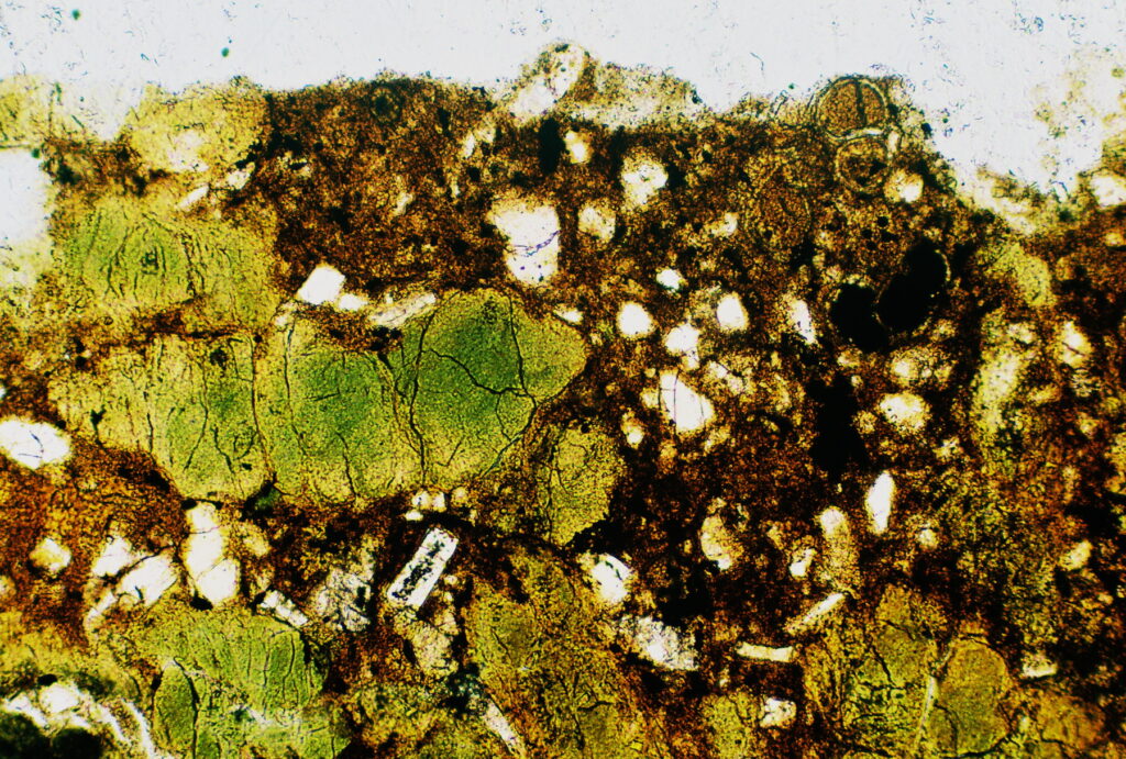Detrital fragments of glauconite (green) in argillaceous, siliciclastic sand, with pyrite (black) (under plane polarized light) (PPL).  
