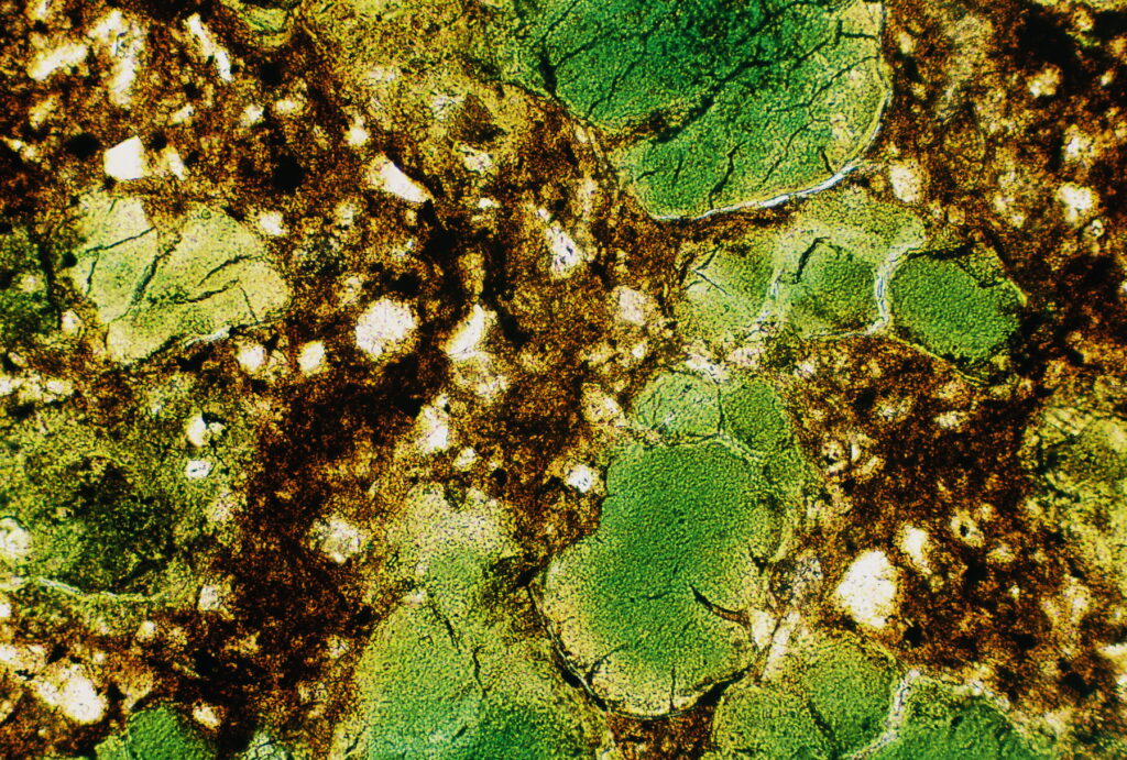 Detrital fragments of glauconite (green) in argillaceous, siliciclastic sand, (under plane polarized light) (PPL).  
