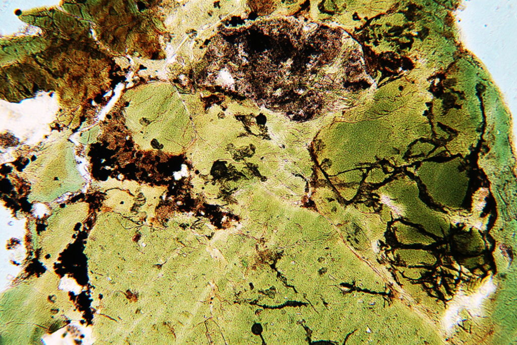 Argillaceous, glauconite (green) sand, with pyrite (black)  (PPL).